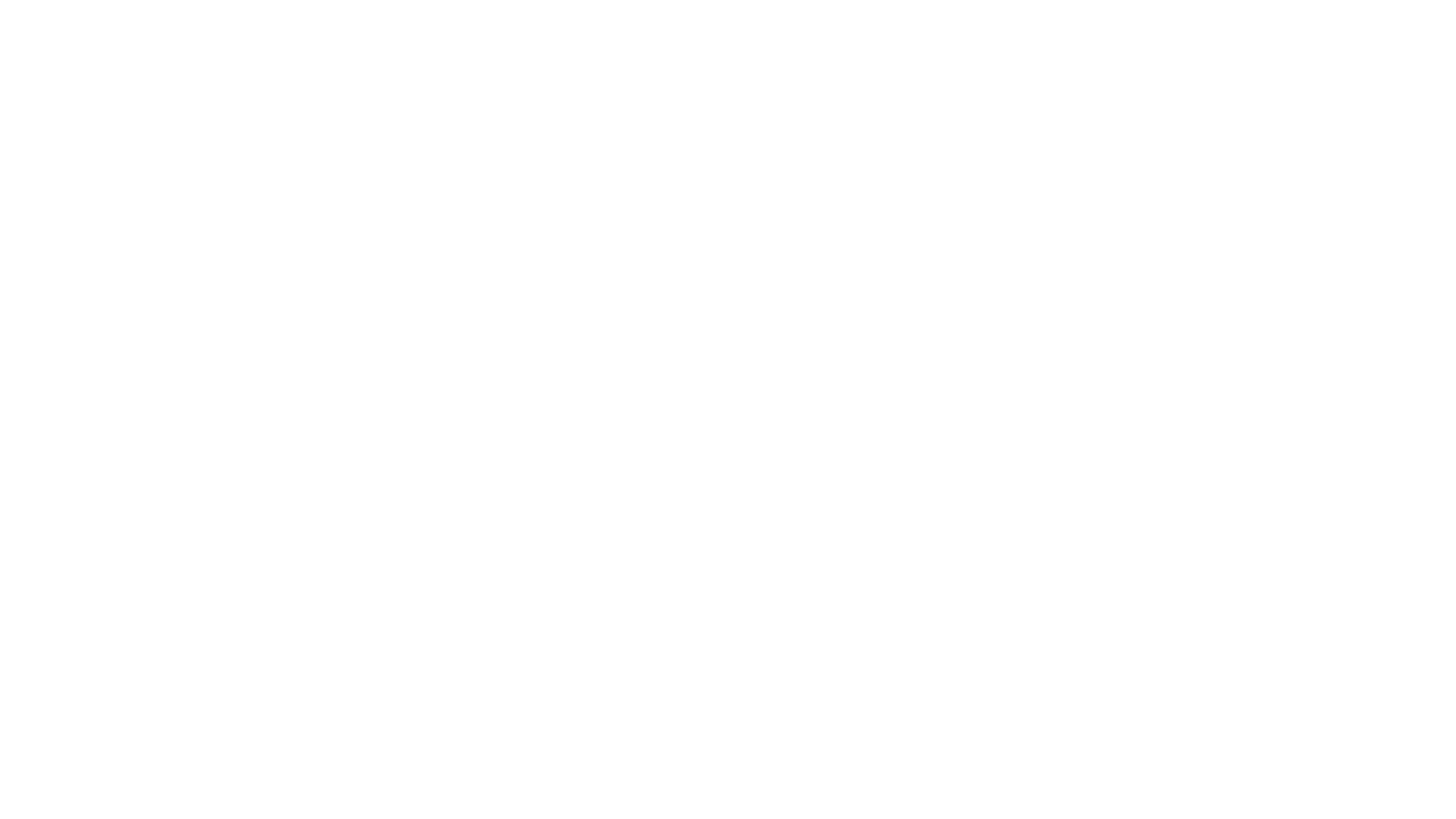 Logo corporativo registrado: Verny