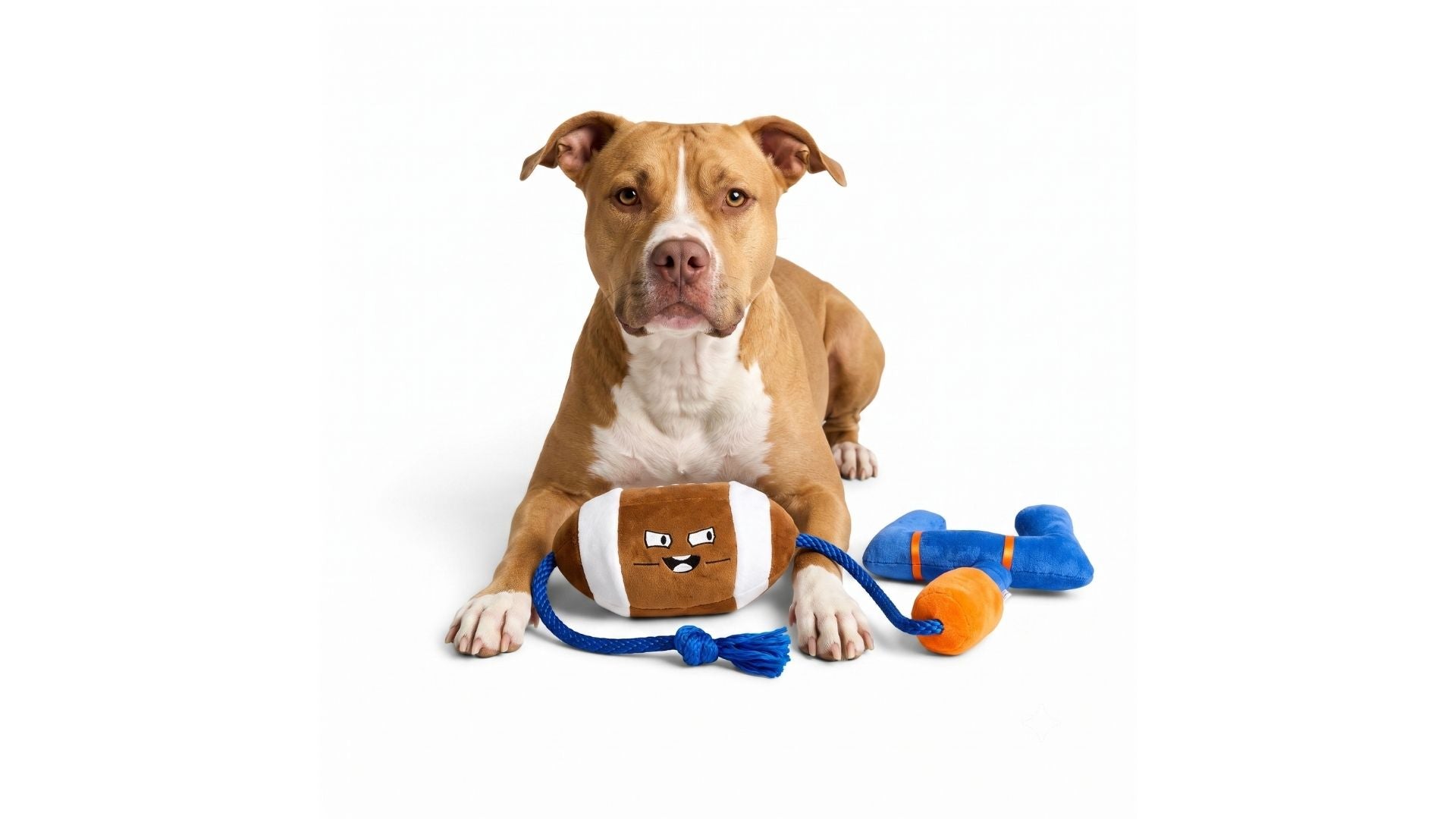 Peluches y juguetes interactivos para perros.