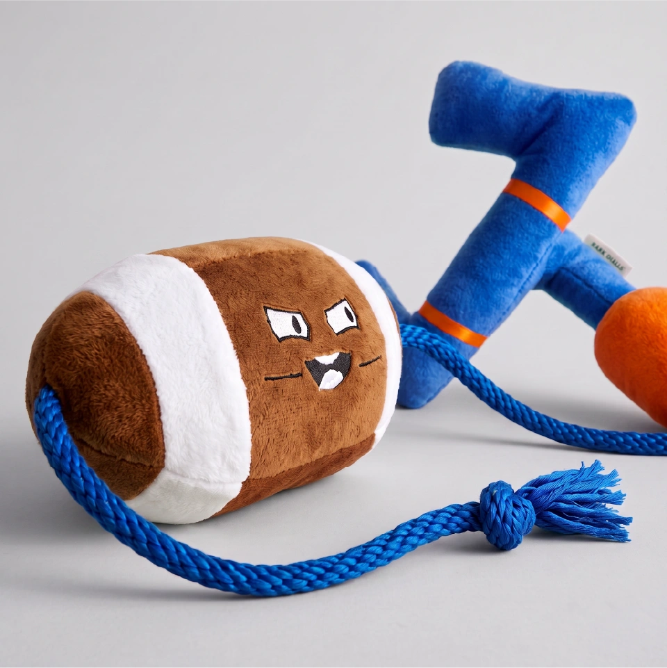 Juguete de peluche para perros marca Verný con temática de fútbol americano. Muestra un balón marrón con franjas blancas y una cara animada con expresión decidida, conectado por una gruesa cuerda azul a una portería de peluche azul con detalles naranjas.